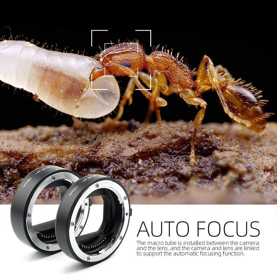 أنبوب تمديد ماكرو معدني بتركيز - مراجعة Canon Camera Eos R50 وسعره